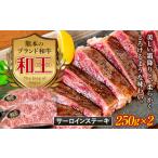 牛肉 ステーキ FKK19-529 熊本和王