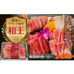 牛肉 焼肉 バーベキュー FKK19-533