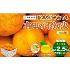 ふるさと納税 みかん・柑橘類 デコポン 和歌山県 有田川町 不知火 訳あり それでも 有田の不知火 箱込 2.5kg (内容量約 2.3kg) サイズミックス 和歌山県産 産…