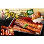 ふるさと納税 うなぎ 鹿児島県 薩摩