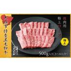 ふるさと納税 牛肉 焼肉・バーベキュー 愛知県 大府市  定番 大府特産A5黒毛和牛下村牛焼肉用特上ロース　500g