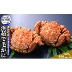 ふるさと納税 カニ 毛ガニ 北海道 厚岸町 北海道産 浜茹で 毛がに（500〜550g前後）2尾 毛カニ 蟹 かに カニ 魚貝類 No.5863-0693