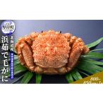 ふるさと納税 カニ 毛ガニ 北海道 厚岸町 北海道産 浜茹で 毛がに（800〜850g前後）1尾 毛カニ 蟹 かに カニ 魚貝類 No.5863-0700