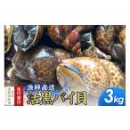 魚貝類 活黒バイ貝 3kg