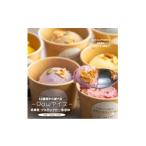 菓子 アイス ヴィーガン対応 ローアイス 12種食べ比べセット
