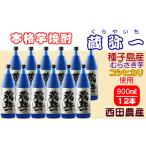 種子島焼酎 蔵弥一 くらやいち 900ml×12本