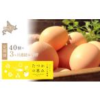 卵 鶏 烏骨鶏等 平飼い有精卵 たつかの恵み 40個×3ヶ月連続…