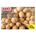 ふるさと納税 野菜類 じゃがいも 長崎県 島原市 AG092 令和8年度出荷分 肥沃な土地で育まれた じゃがいも （ニシユタカ） 数量限定