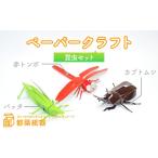 玩具 ペーパークラフト 昆虫セット 説明書付