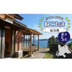 宿泊券 ペンション コテージ タイニーハウスねこたま