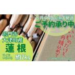 ショッピングふるさと納税 訳あり 不揃い ふるさと納税 徳島県 鳴門市 【訳あり】鳴門市大津町産 蓮根 （不揃い） 約2kg【数量限定】 れんこん 天ぷら きんぴら