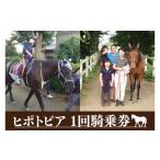 体験チケット 43-01 ヒポトピア 1回騎乗券