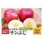 ふるさと納税 りんご 青森県 弘前市 25年11月〜発送 りんご 平均糖度13度以上 サンふじ 約10kg 訳あり 先行受付 青森 果物 フルーツ 林檎 リンゴ くだもの 不…