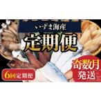 ふるさと納税 干物 アジ 高知県 室戸市 いずま海産オリジナル6回定期便 奇数月発送 頒布会