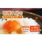 たまご 卵 美豊卵 熊福 30個