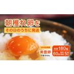 たまご 卵 美豊卵 熊福 60個