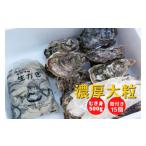 ふるさと納税 牡蠣 生牡蠣 広島県 東広島市 予約商品 牡蠣 詰め合わせ 殻付き 15個 むき身 500g 広島県産 新鮮 全国配送 濃厚リピート 配送不可:離島 配送時…