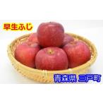 ふるさと納税 りんご 青森県 三戸町 りんご 早生ふじ 約5kg(12〜20玉) 2025年産・先行予約 2025年9月下旬〜10月下旬頃まで発送予定 青森県三戸町産
