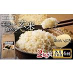ふるさと納税 玄米 山口県 山陽小野田市 《各月全6回 定期便》美味しく食べる玄米 2kg×6 計12kg 玄米 金のいぶき 定期便 ご当地 グルメ 食品 F6L-1346