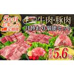 牛肉 焼肉 バーベキュー 5か月定期便 月替わりで堪能