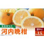 ふるさと納税 みかん