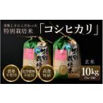 ふるさと納税 玄米 福井県 あわら市  先行予約 令和8年産 新米 コシヒカリ 玄米 5kg×2袋（計10kg） 特別栽培米 農薬不使用 化学肥料不使用 ／ 残留農薬ゼロ …