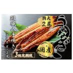 ふるさと納税 うなぎ 佐賀県 みやき町 FK015 3回定期便 九州産 うなぎ職人手焼き 蒲焼 国産 有頭鰻 1尾あたり約200g×2尾(合計約400g以上)たれ・山…
