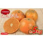 たんかん 約5kg