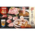 豚肉 セット 定期便 夢やまびこ豚 鍋セット
