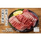 ふるさと納税 牛肉 焼肉・バーベキュー 宮崎県 高原町 《内閣総理大臣賞受賞》宮崎牛焼肉用(500g) おいしさ日本一の黒毛和牛 A5ランク A4等級 ブランド牛 国産…