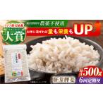 雑穀 全6回定期便 栽培期間中農薬不使用