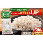 雑穀 全12回定期便 栽培期間中農薬不使用