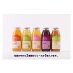 果汁飲料 りんご 08-03-064 オリジナルくだものジュース15…