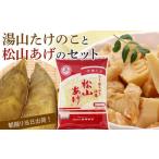 fu.... налог овощи вид дикоросы Ehime префектура Matsuyama город предшествующий предварительный заказ 2026 год 3 месяц последняя декада из отправка предположительно утро .. горячая вода гора побеги бамбука & Matsuyama ... комплект 