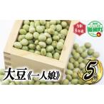 豆類 大豆 仲俣さんの美味しい大豆 一人娘 約5kg