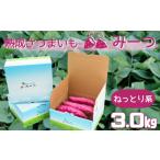 野菜類 サツマイモ 予約受付中 熟成さつまいも