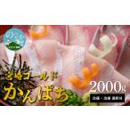 旬の鮮魚等 鰤屋金太郎 冷蔵 かんぱちスキンレスロイン2000g