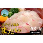 旬の鮮魚等 鰤屋金太郎 冷凍 たいスキンレスロイン2000g