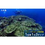 体験チケット 久米島ファンダイビング利用券1名様