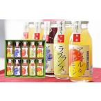 果汁飲料 りんご 08-10-045 100%フルーツジュース10本入り