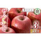 ふるさと納税 りんご 長野県 飯綱町 りんご サンふじ 家庭用 3kg 沖縄県への配送不可 2025年12月中旬から2025年12月下旬まで順次発送予定 令和7年度収穫分 静…