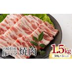 豚肉 焼肉 バーベキュー 産豚バラ焼肉 1.5kg