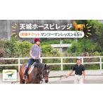 体験チケット 天城ホースビレッジ施設利用券