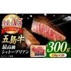 牛肉 ヒレ 五島牛シャトーブリアンステーキ300g 150g×2枚