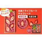 菓子 チョコレート あまおうルビー 糸島ドライフルーツチョ…