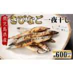 干物 黒潮の恵み 天然物きびなご一夜干し約200g×3パック