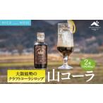 炭酸飲料 大阪能勢産 山コーラ 2本セット