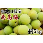 果物類 和歌山名産 南高梅 約5kg