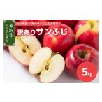 ふるさと納税 山形県 米沢市 《 先行予約 》【 令和6年産 】 訳あり りんご ( サンふじ )　5kg 〔 2024年11月中下旬頃 〜 お届け 〕 家庭用 キズ等 2024年産 […