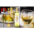 ふるさと納税 ワイン 白ワイン 福井県 大野市 シュール・リー樽(白ワイン)750ml